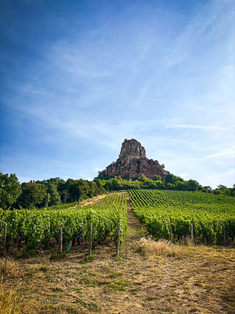 rock of solutre with vineyards in foreground and blue sky background